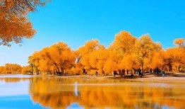 新疆旅游什么地貌好(新疆什么地方适合旅游)