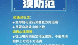 旅游没有网络带什么(出门没有网络办理什么流量卡)