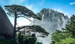 黄山什么省旅游最好(黄山哪个地方最好玩)