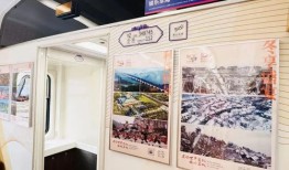 打造什么旅游车厢(打造什么旅游车厢好)