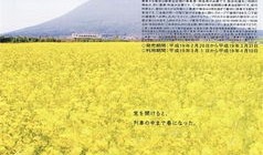 去旅游应该相信什么(去旅游有什么意义)