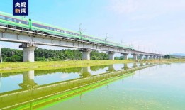 当天来回旅游叫什么(当天来回的旅游景点)