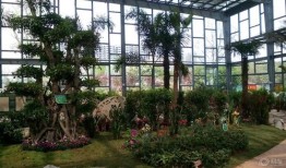 洛阳旅游花卉卖什么(洛阳卖花的地方)