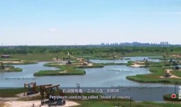 为什么要来大庆旅游(大庆为啥有油)