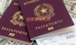 北极旅游办什么签证(去北极怎么办签证)