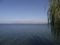 旅游为什么要流浪(为什么要去流浪)