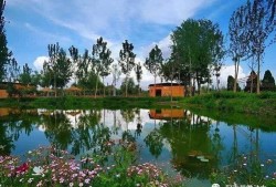 公园旅游配什么诗(公园旅游文案)
