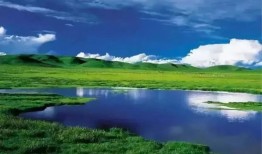 什么是旅游感想作文(旅游感受怎么写)