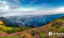 到毕节旅游要带什么(到毕节旅游要带什么东西)