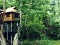 版纳旅游什么季节最好(版纳几月份去最好)