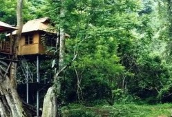 版纳旅游什么季节最好(版纳几月份去最好)