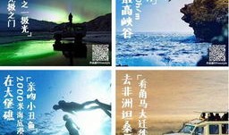 环球旅游语言是什么(环球旅游特点)
