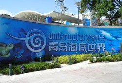 平原旅游内容是什么(平原旅游团)