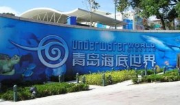 平原旅游内容是什么(平原旅游团)