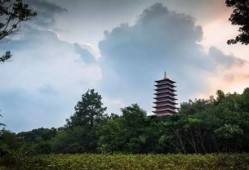 去铜陵旅游注意什么(从铜陵出发的一日游)