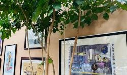 旅游打卡拍什么好(适合拍照打卡的地方)