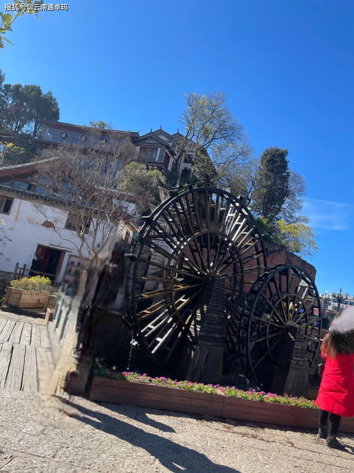 大理旅游什么感受好玩(大理旅游好玩吗)