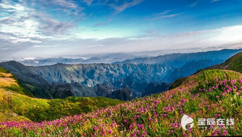 到毕节旅游要带什么(到毕节旅游要带什么东西)