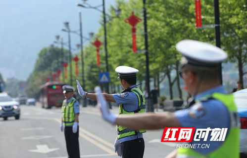 什么警种可以到处旅游(什么警种可以到处旅游呢)