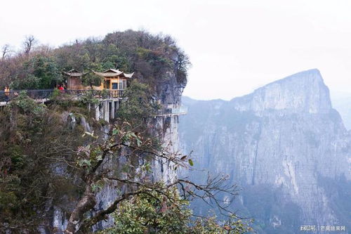 为什么要去衡阳旅游(衡阳为什么呢)
