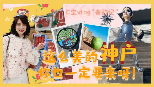 旅游vlog素材拍什么(旅游vlog剪辑技巧)