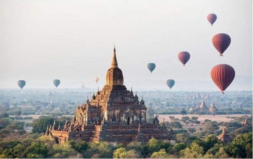 为什么都去广东旅游(为什么都去广东旅游的原因)