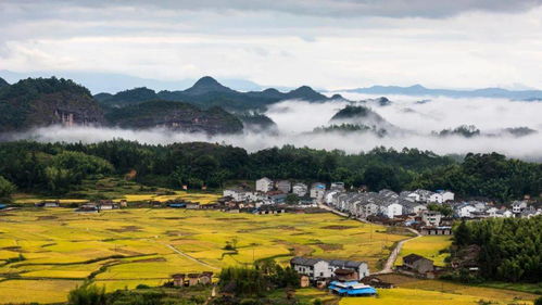 泰宁什么季节旅游好(泰宁什么气候)