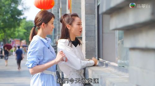 tvb有什么旅游综艺(tvb有什么旅游综艺吗)
