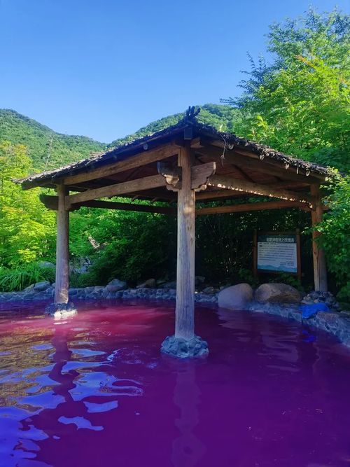 旅游峡谷卖什么好(峡谷推荐)