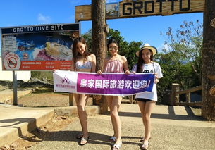 什么叫旅游领队工作(什么叫旅游领队工作职责)