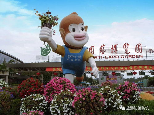 昆明旅游送女生什么(昆明买什么礼物)