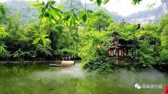 休闲旅游属于什么类型(休闲旅游属于什么类型的旅游)