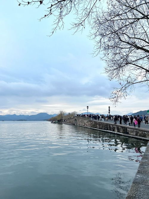 杭州旅游什么月份好玩(杭州旅游什么月份好玩一点)