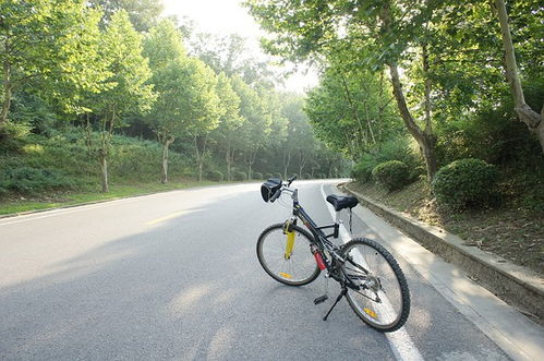 骑车旅游什么车最好(适合骑车去旅行的地方)