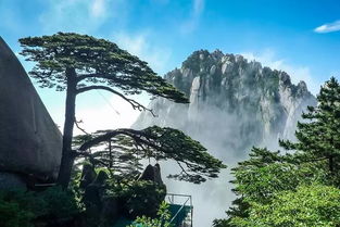 黄山什么省旅游最好(黄山哪个地方最好玩)