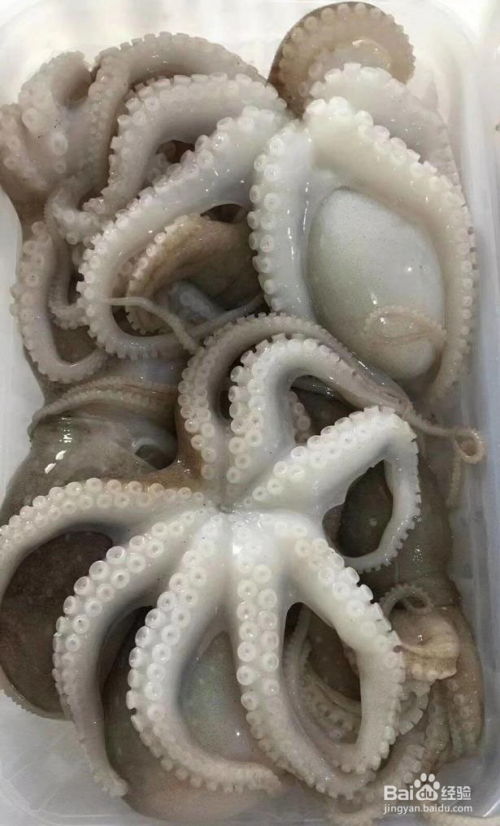 海鲜冬天旅游吃什么(冬季海鲜吃什么)