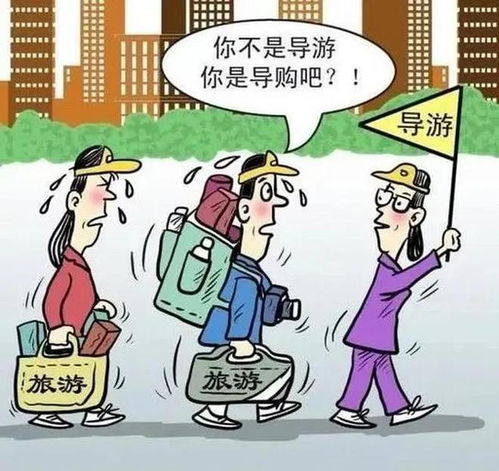 退休老人旅游喜欢什么(退休老人的旅游需求)