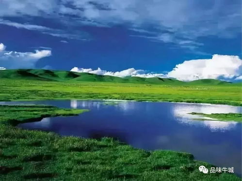 什么是旅游感想作文(旅游感受怎么写)