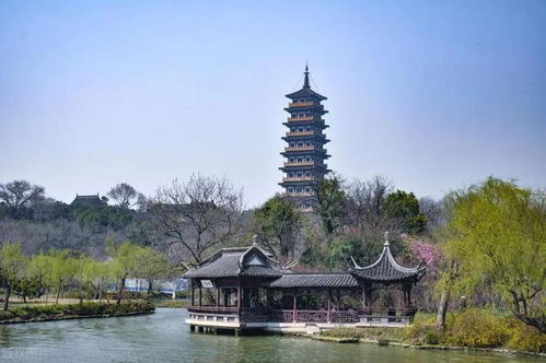 扬州旅游应该买什么(扬州旅游买什么礼物)