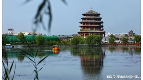 德州旅游有什么特色(德州旅游指南)