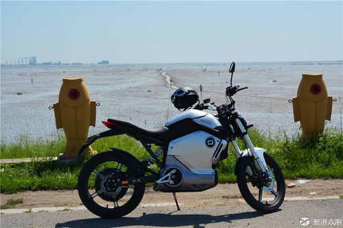 什么电车适合长途旅游(适合长途旅行的电摩)