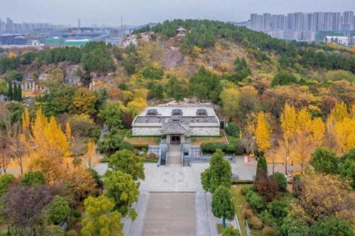 徐州有什么旅游攻略(徐州有什么旅游的景点推荐)