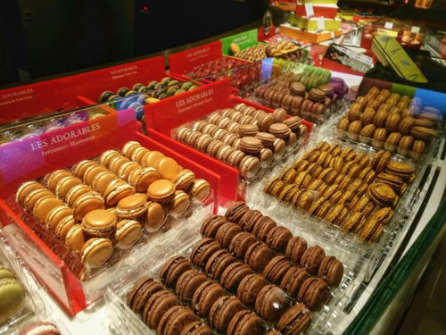 出国旅游自备什么食物(出国旅游必备物品)