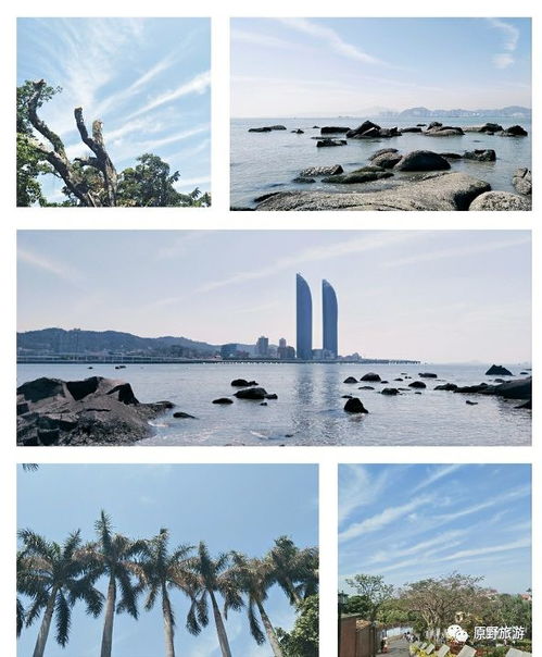 厦门旅游买什么回去(去厦门旅游买什么礼物)