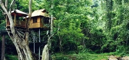 版纳旅游什么季节最好(版纳几月份去最好)