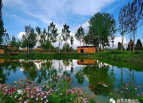 公园旅游配什么诗(公园旅游文案)