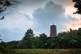 去铜陵旅游注意什么(从铜陵出发的一日游)