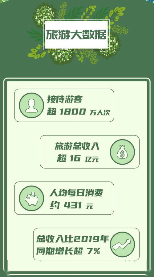旅游管理分什么院系(旅游管理专业划分)